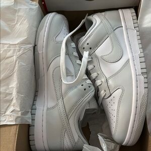nwt nike dunk low